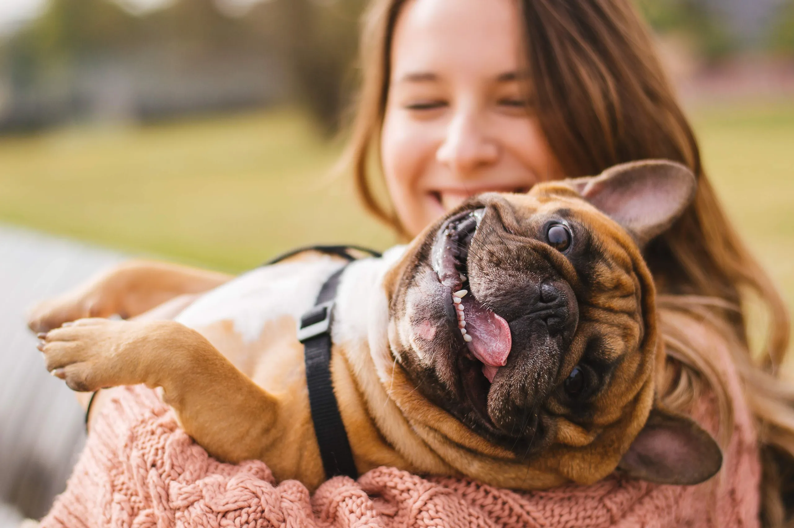 Woman smiling with a pink chunky sweater on, holding her French Bulldog as it leans over her shoulder and has a big smile and is happily panting. There is green grass in the background with foliage.